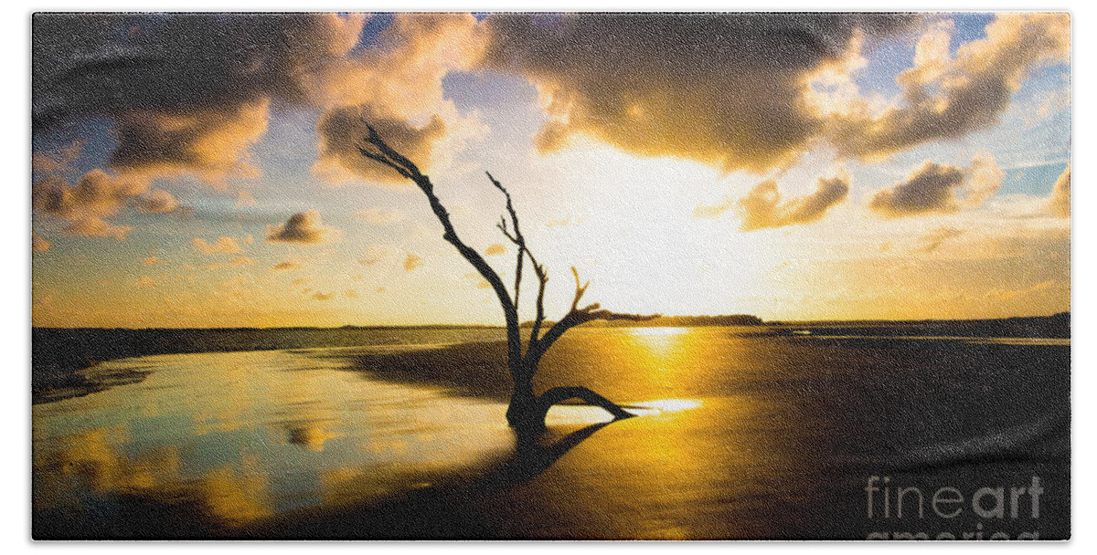 South End Folly Beach Hand Towel featuring the photograph The Driftwood Tree Folly Beach by Donnie Whitaker