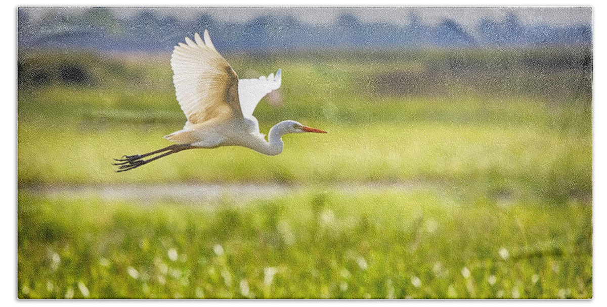 Egret Hand Towel featuring the photograph The Egret in Flight Series V3 by Douglas Barnard