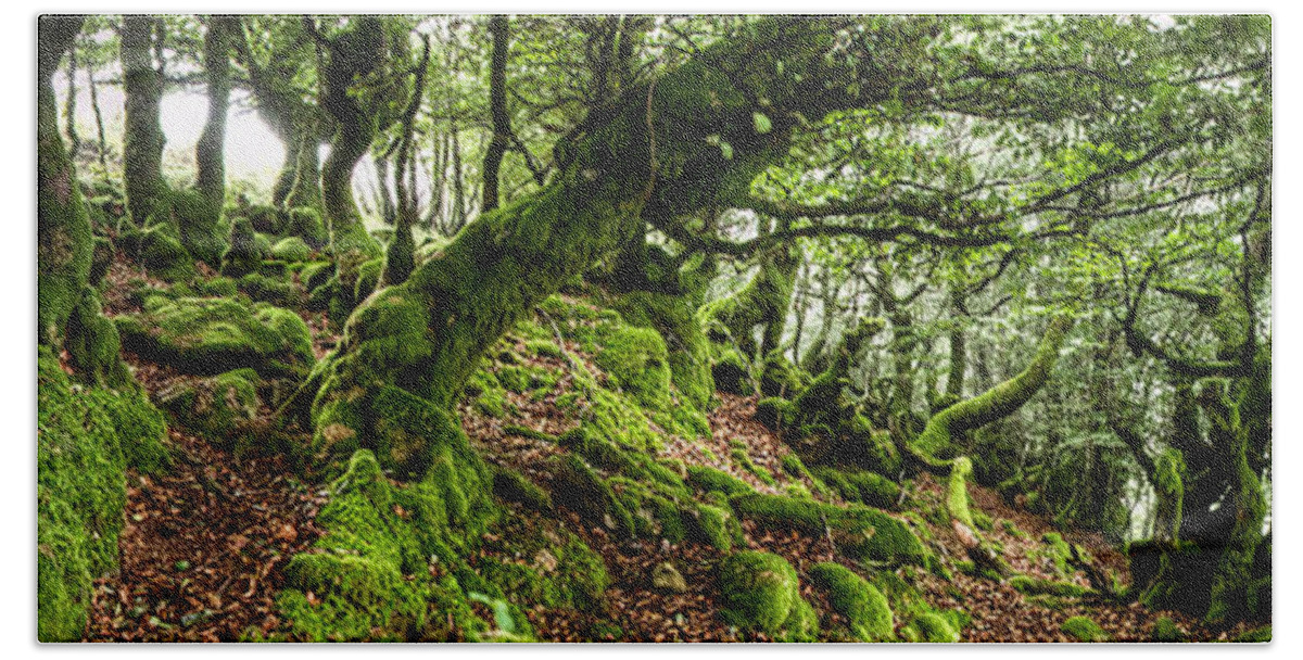 Forest Hand Towel featuring the photograph The Elven forest No2 Wide by Weston Westmoreland