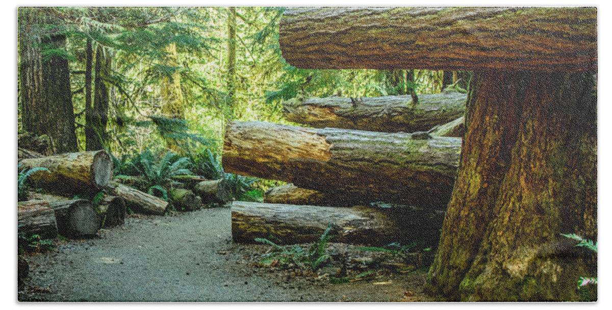 Old Growth Forest Hand Towel featuring the photograph The Fallen Trees Along the Trail Cathedral Grove by Roxy Hurtubise