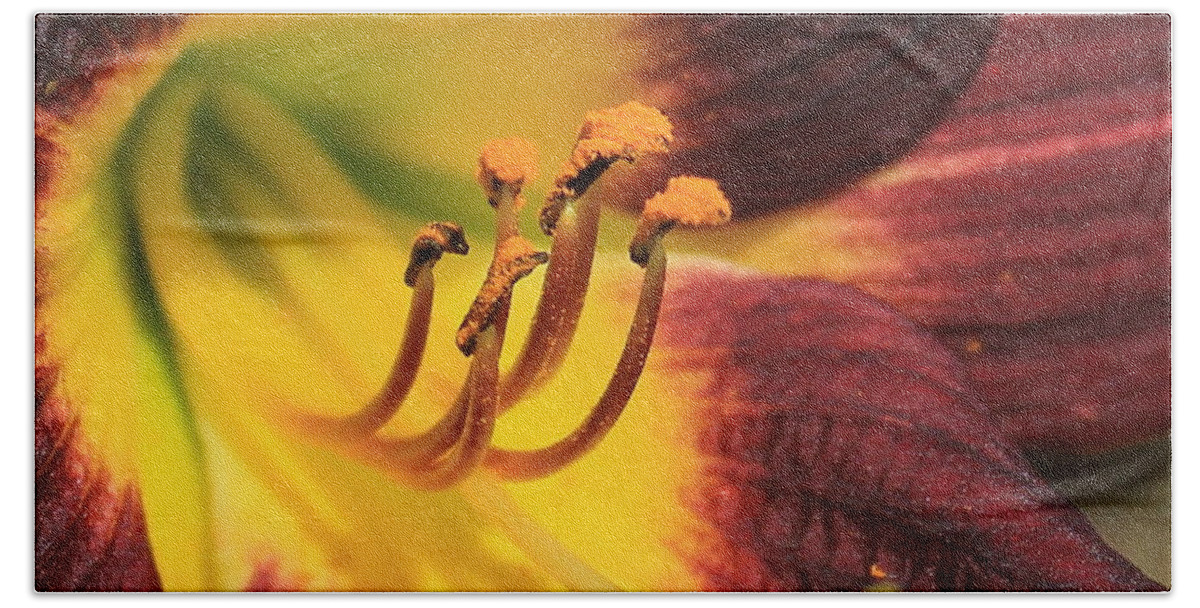 Flower Hand Towel featuring the photograph Almost Too Close Day lily Flower Art by Reid Callaway