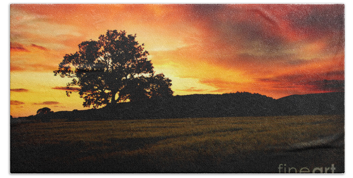 Sunset Hand Towel featuring the photograph the Fire on the Sky by Ang El