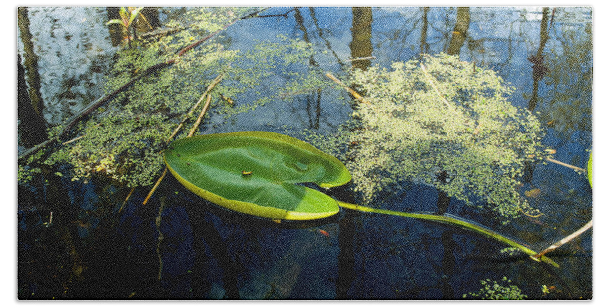 Leaf Bath Towel featuring the photograph The Floating Leaf of a Water Lily by Verana Stark
