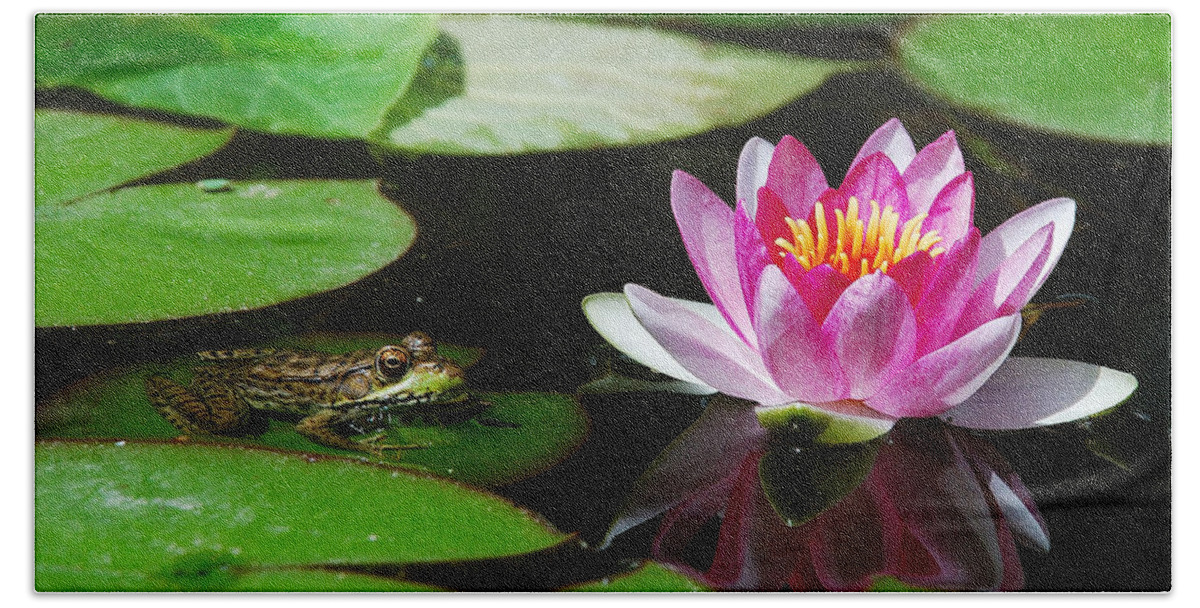 Jma Bath Towel featuring the photograph The Frog and the Lily by Janice Adomeit