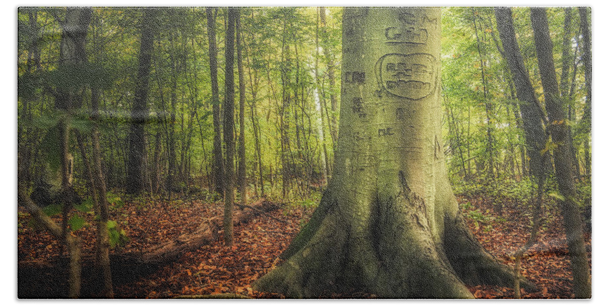 Tree Hand Towel featuring the photograph The Giving Tree by Scott Norris