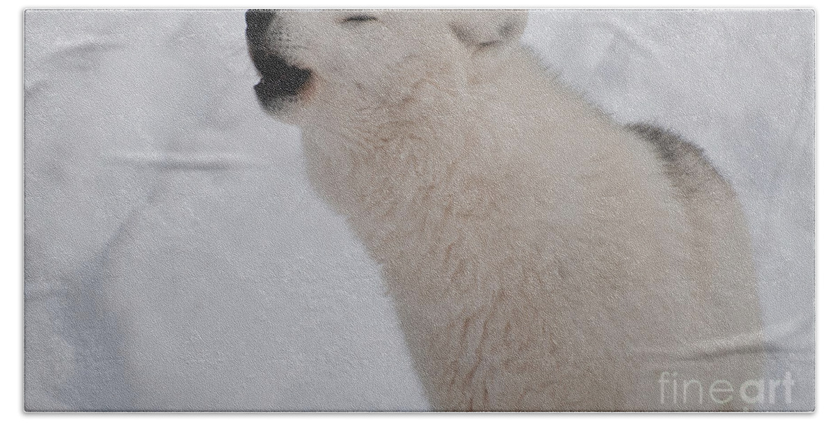 Arctic Wolf Bath Towel featuring the photograph The Howler by Bianca Nadeau