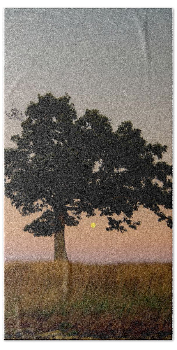 Blue Ridge Parkway Hand Towel featuring the photograph The Lone Tree at Doughton Park by John Harmon