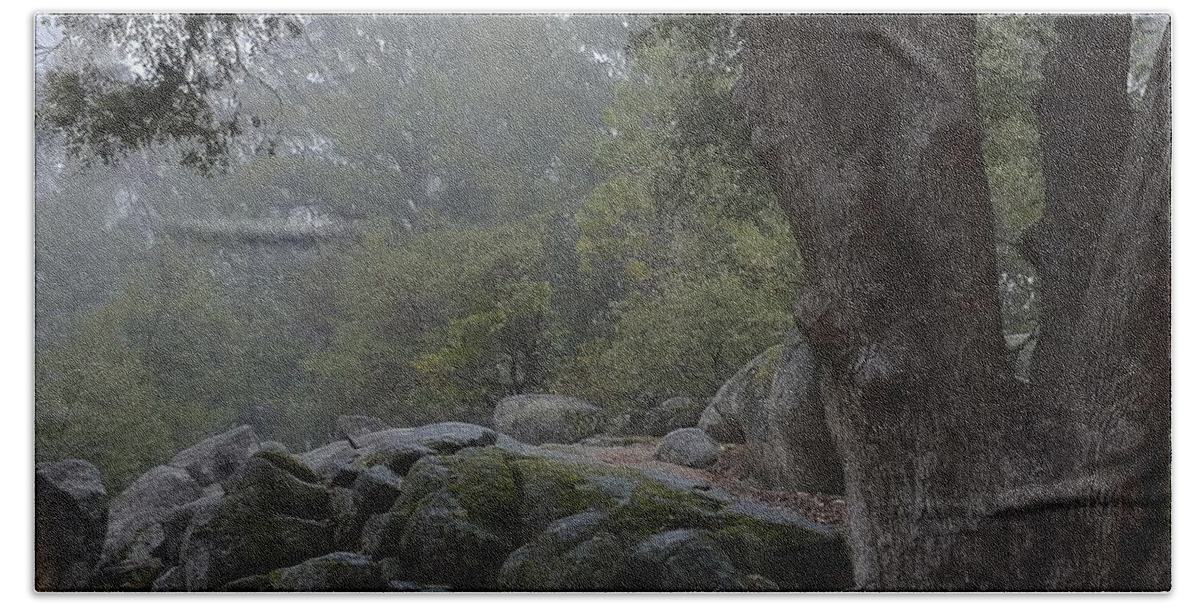Grey Rocks Bath Towel featuring the photograph The Old Oak Tree by Gerry High