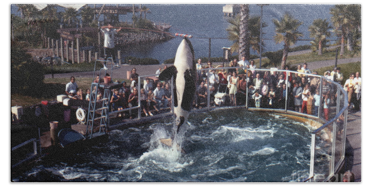 Original Hand Towel featuring the photograph The original Shamu Orca Sea World San Diego 1967 by Monterey County Historical Society