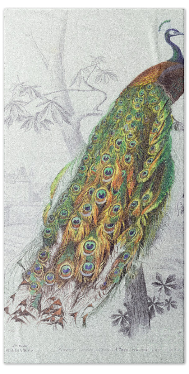 Peacock Hand Towel featuring the painting The Peacock by A Fournier