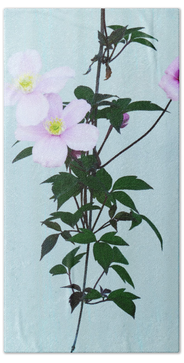Corrugated Bath Towel featuring the photograph The Pink Clematis by Steve Taylor