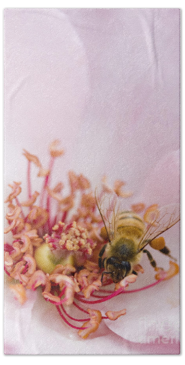 The Pollinator Bath Towel featuring the photograph The Pollinator by Patty Colabuono