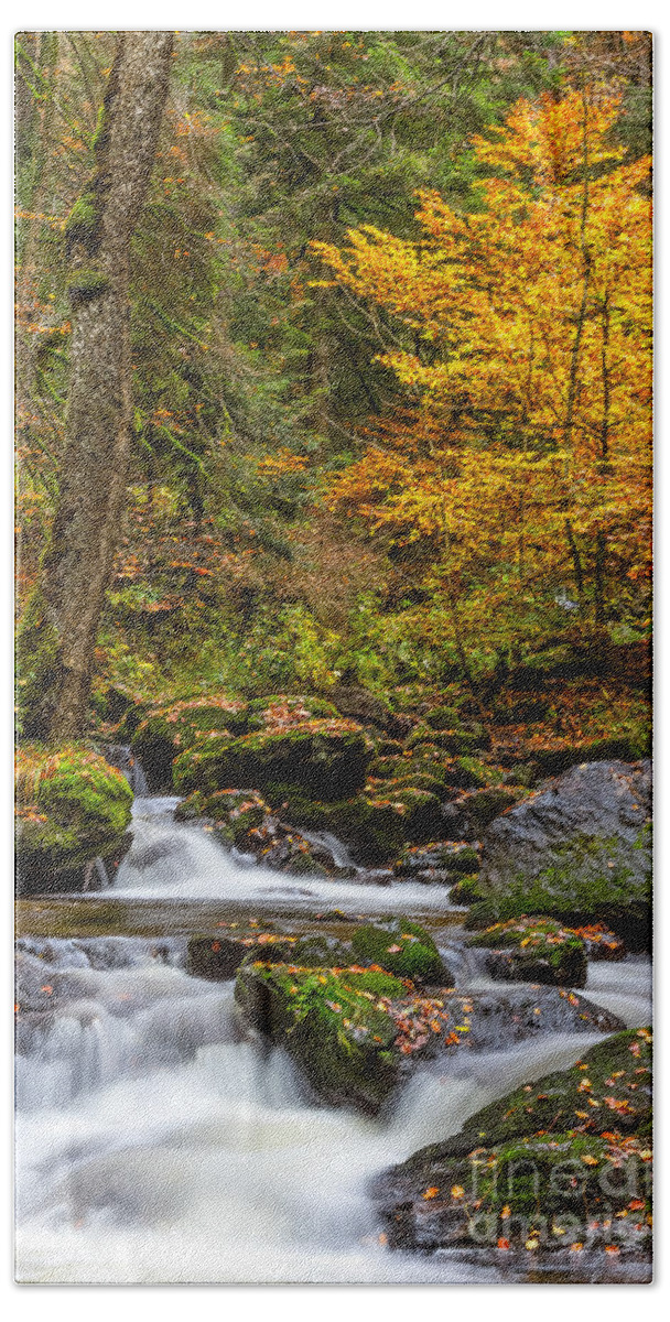 Ravenna-gorge Bath Towel featuring the photograph Cascades and Waterfalls #8 by Bernd Laeschke