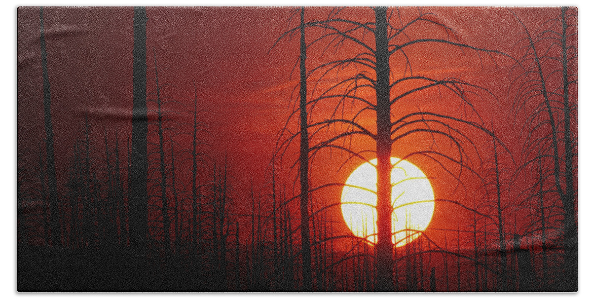 Buffalo Creek Fire Photograph; Buffalo Creek Fire Canvas Print; Red Sun Photograph Bath Towel featuring the photograph The Red Planet by Jim Garrison