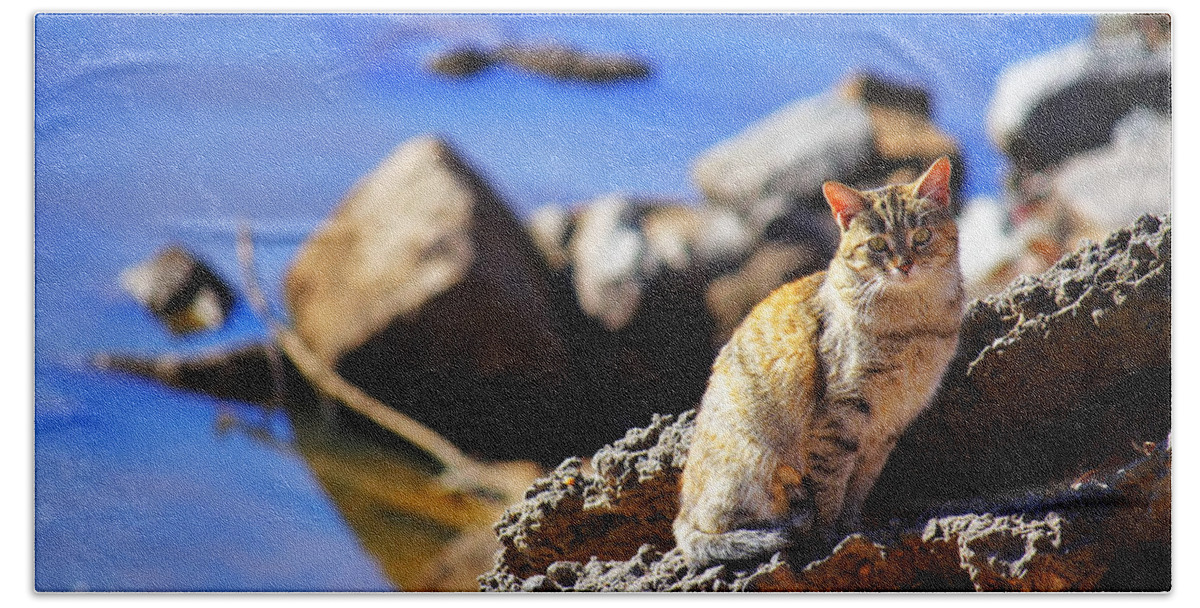 Cat Bath Towel featuring the photograph The River Life 1 of 3 by Jason Politte