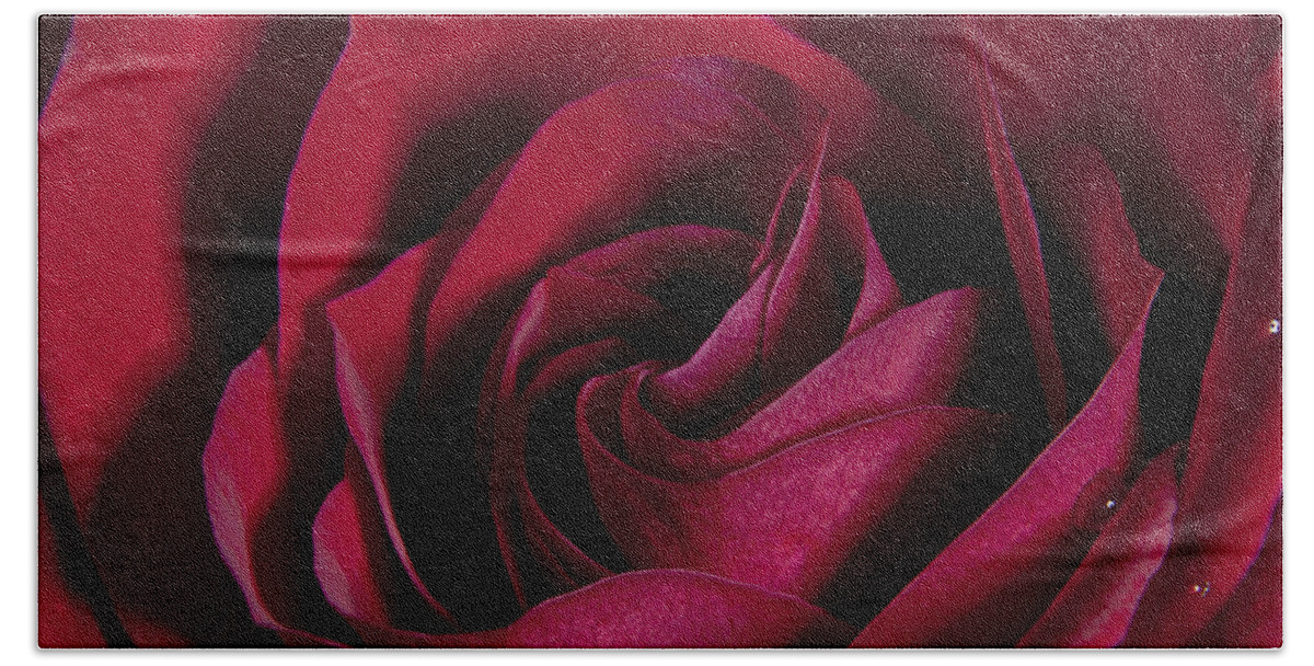 Red Rose Macro Floral Hand Towel featuring the photograph The Rose by James Roemmling