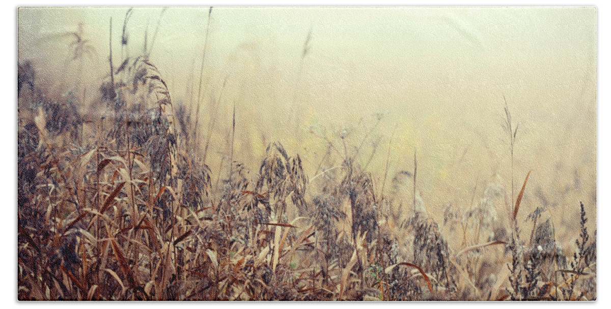 Grass Bath Towel featuring the photograph The Song of Autumnal Grass by Jenny Rainbow
