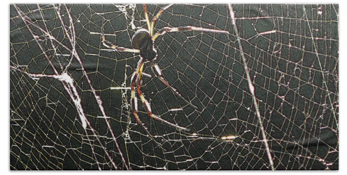 Banana Bath Towel featuring the photograph the Spider's Web by George Pedro