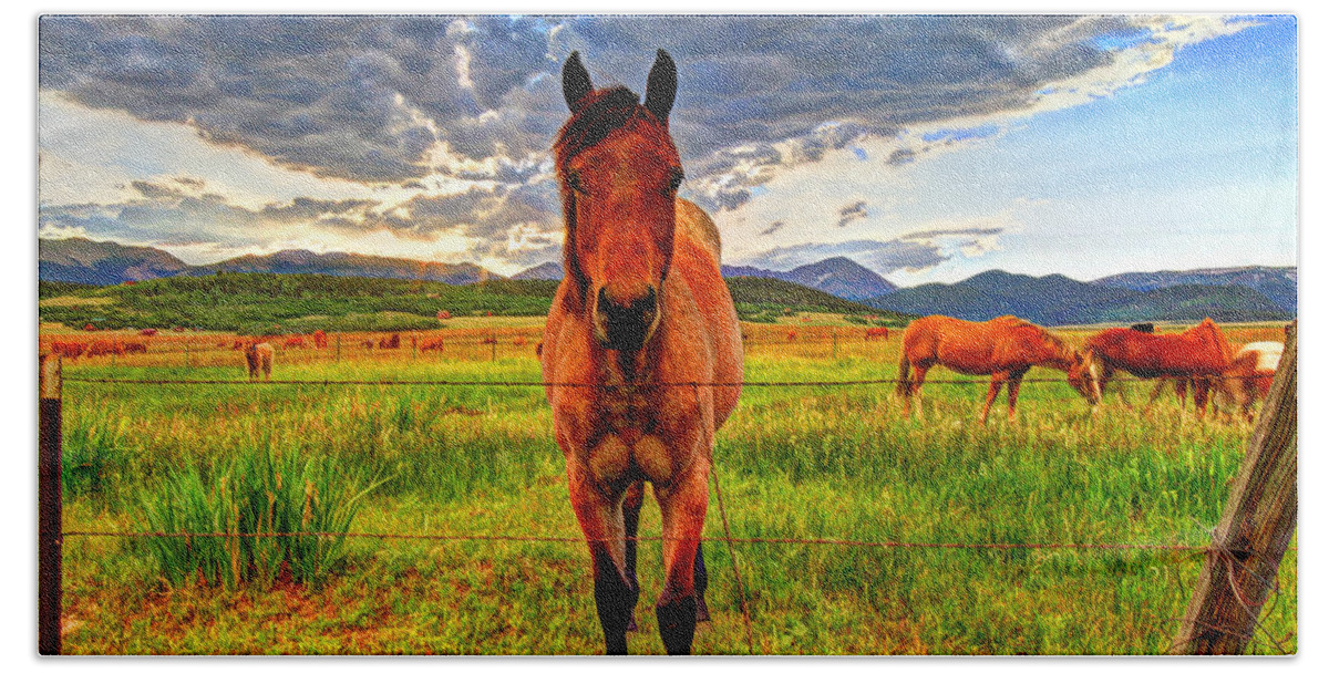 Colorado Hand Towel featuring the photograph The Stallion Stares by Scott Mahon