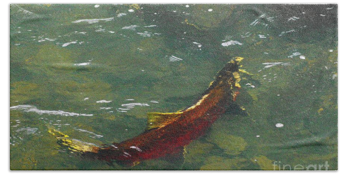 Fish Bath Towel featuring the photograph The Steelhead Turns by Jeff Swan