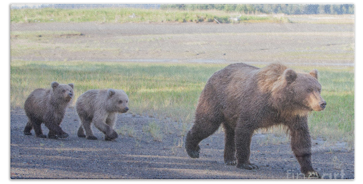 Bear Cub Hand Towel featuring the photograph The Three Bears by Chris Scroggins