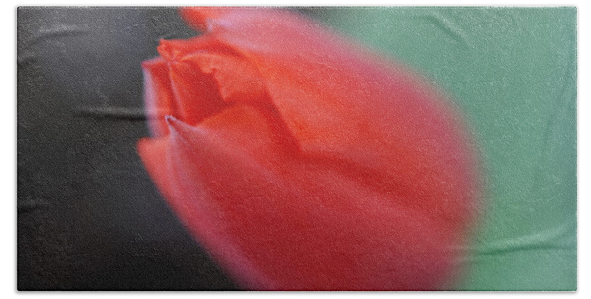 Tulip Bath Towel featuring the photograph The Tip of the Tulip by Kathy Paynter