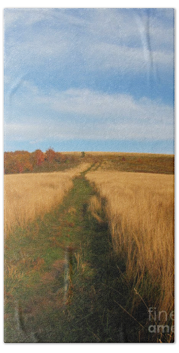 Max Patch Bath Towel featuring the photograph The Trail by Anita Adams