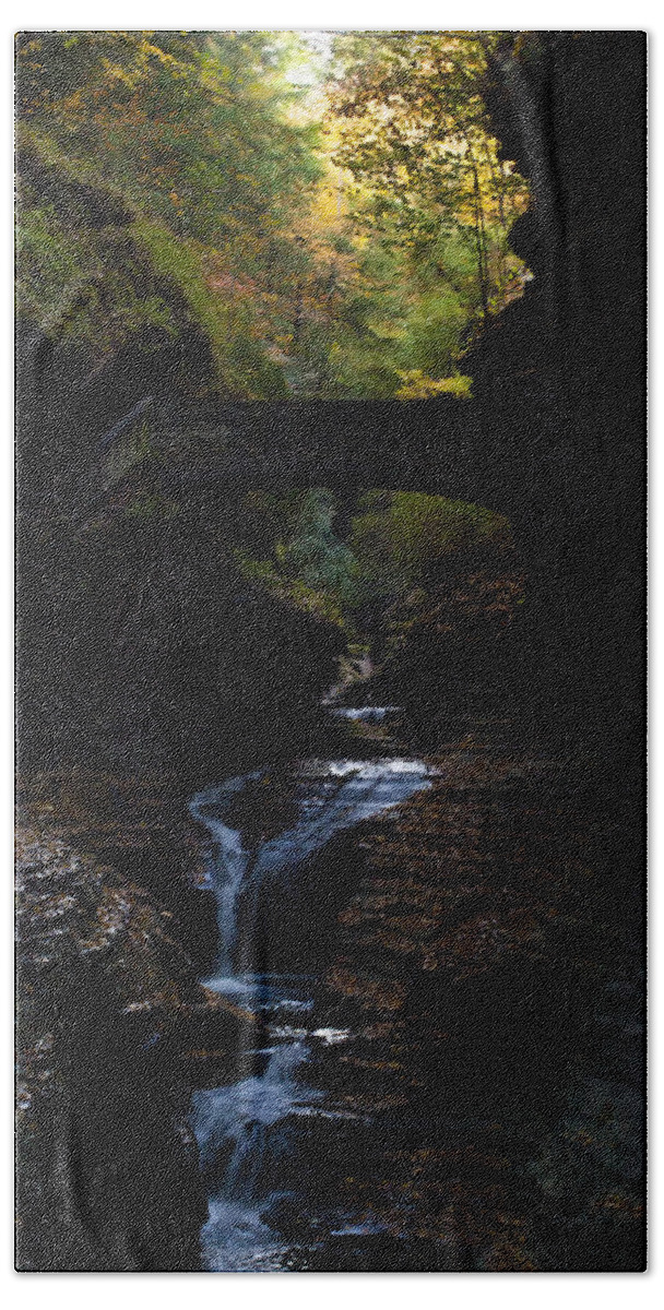 Watkins Glen Bath Towel featuring the photograph The trail to Rivendell by Joshua House