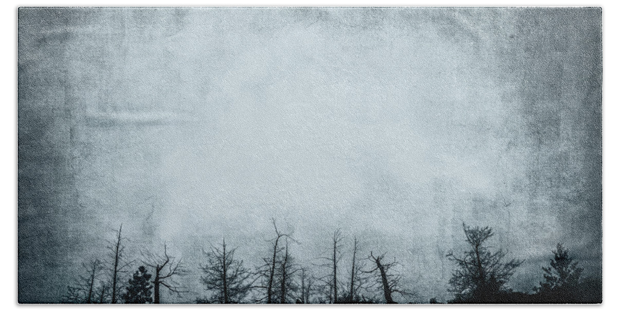 Grunge Bath Towel featuring the photograph The Trees On The Ridge by Theresa Tahara