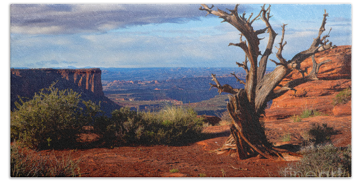 Canyonlands Bath Towel featuring the photograph The Watchman by Jim Garrison