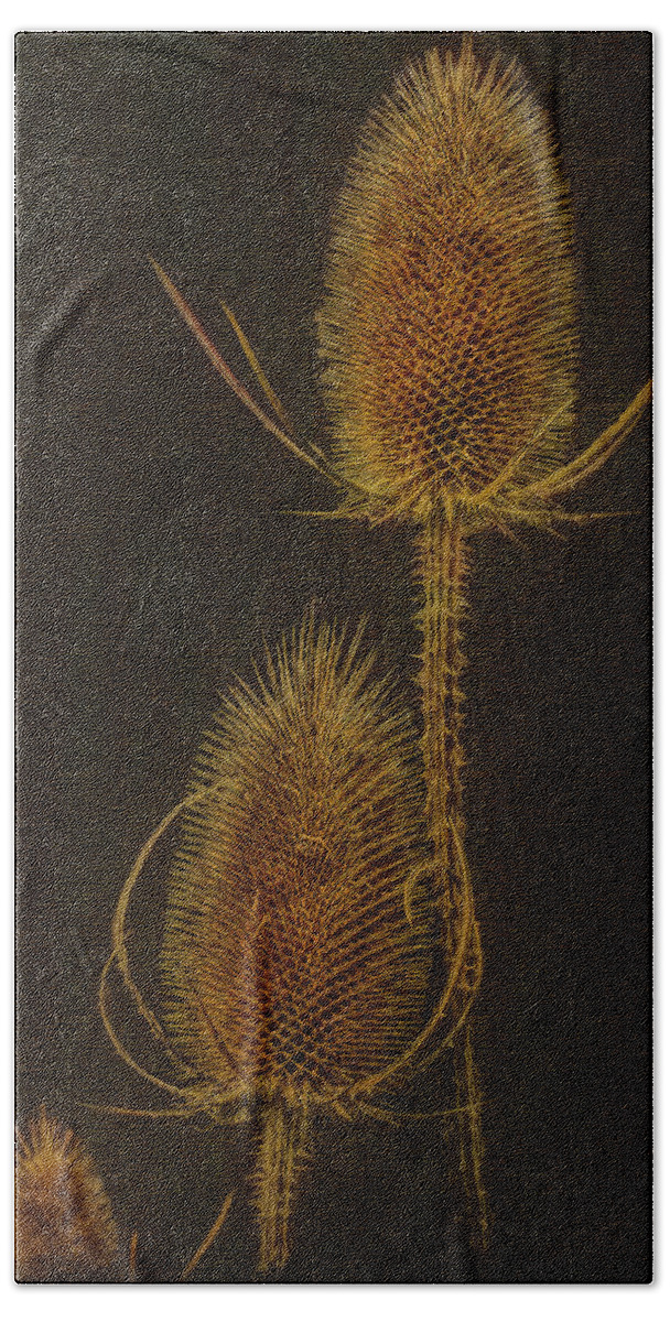 Thisle Hand Towel featuring the photograph Thistles by Hanny Heim