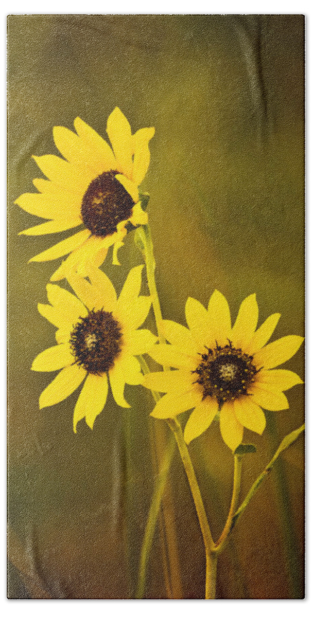 Black Eyed Susan Hand Towel featuring the photograph A Trio Of Black Eyed Susans by Gary Slawsky