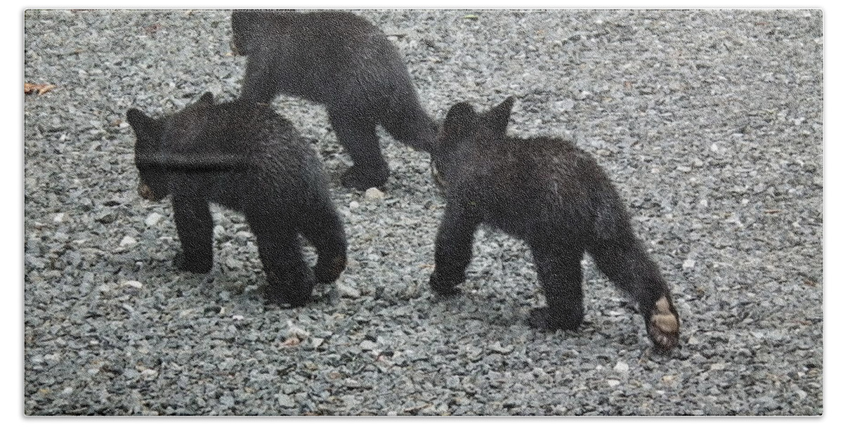 Young Bath Towel featuring the photograph Three Little Bears in Step by Jan Dappen