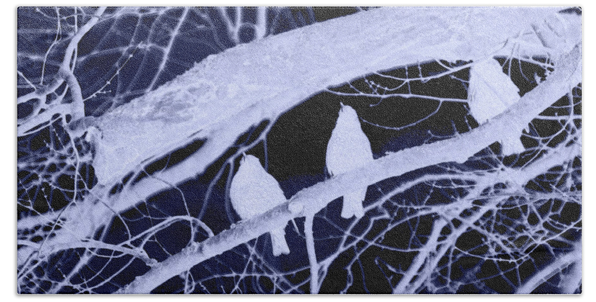 Infrared Bath Towel featuring the photograph Three on a Limb by Lesa Fine