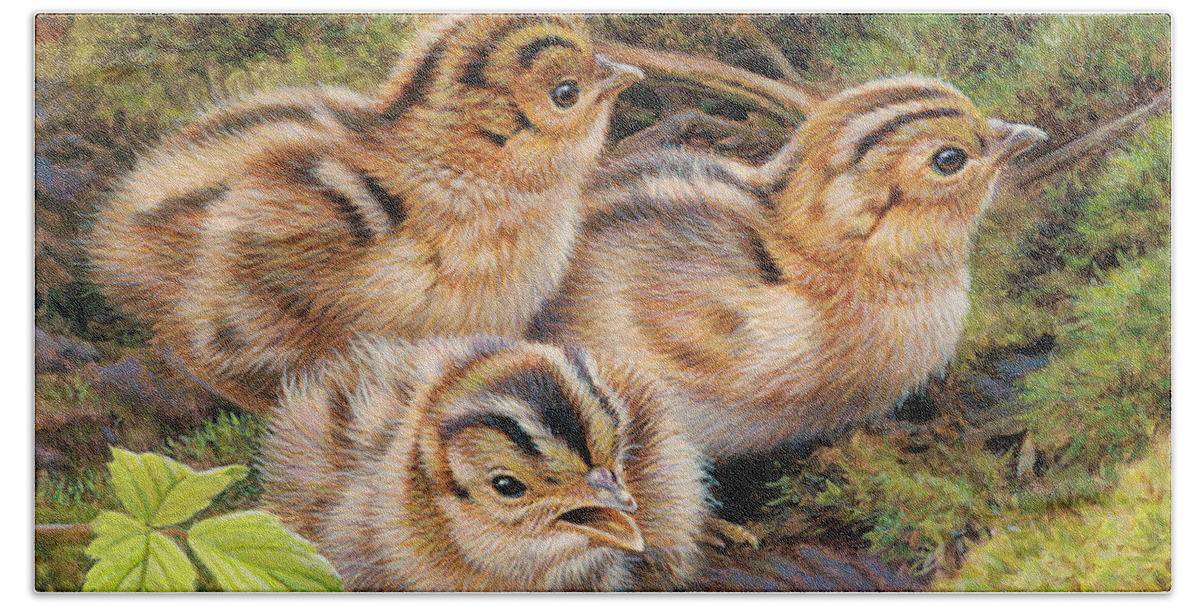 Animal Bath Towel featuring the photograph Three Pheasant Chicks In Grass by Ikon Ikon Images