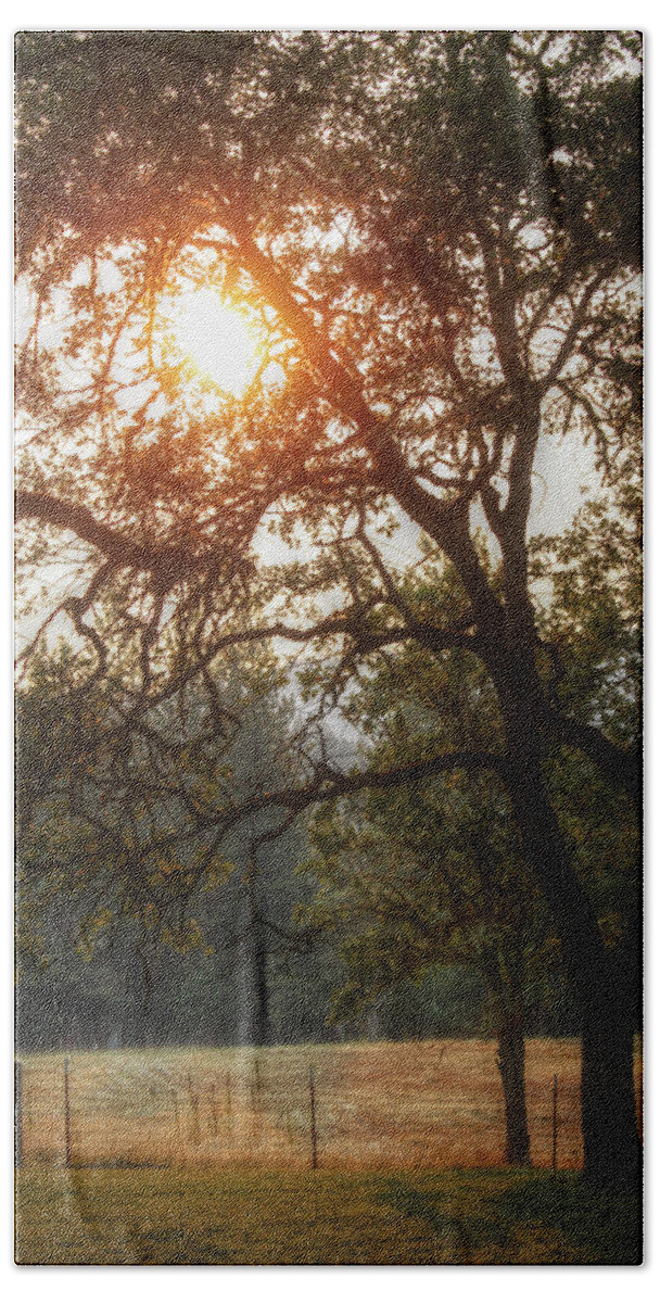 Sunset Hand Towel featuring the photograph Through the Trees by Melanie Lankford Photography