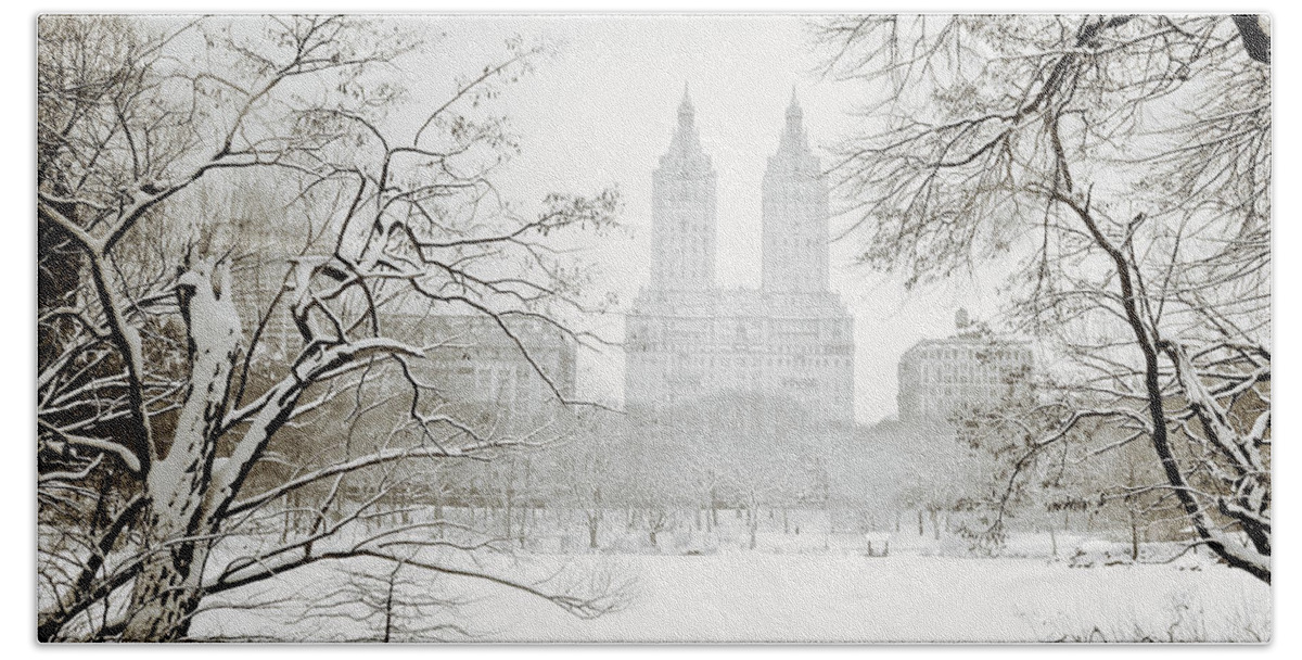 New York City Bath Towel featuring the photograph Through Winter Trees - Central Park - New York City by Vivienne Gucwa