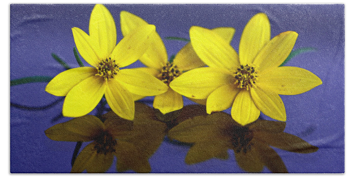 Tiny Yellow Flowers Hand Towel featuring the photograph Tickseed Trio by Suzanne Stout