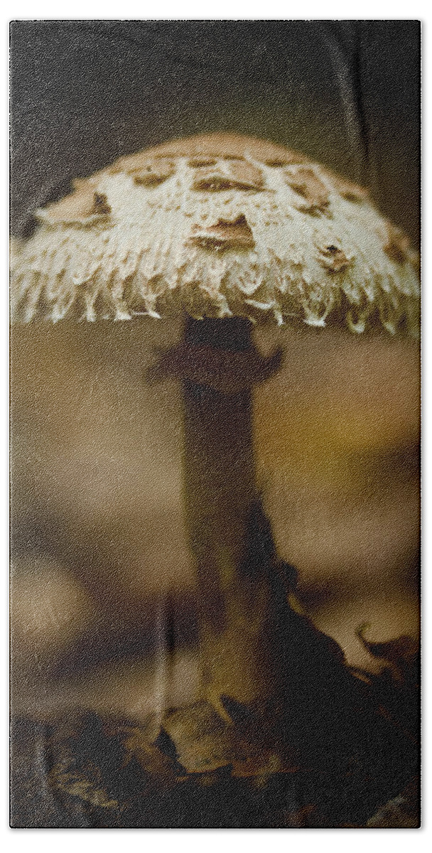 Mushroom Bath Towel featuring the photograph Tiffany Shroom by Shane Holsclaw