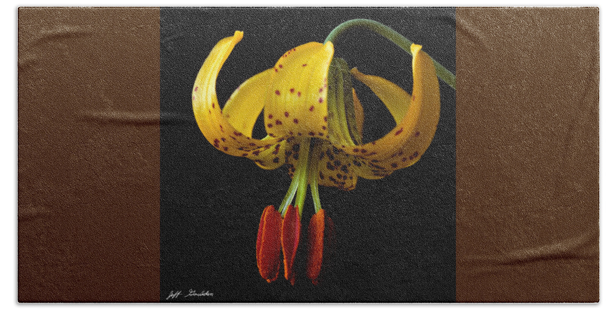 Beauty In Nature Bath Towel featuring the photograph Tiger Lily by Jeff Goulden