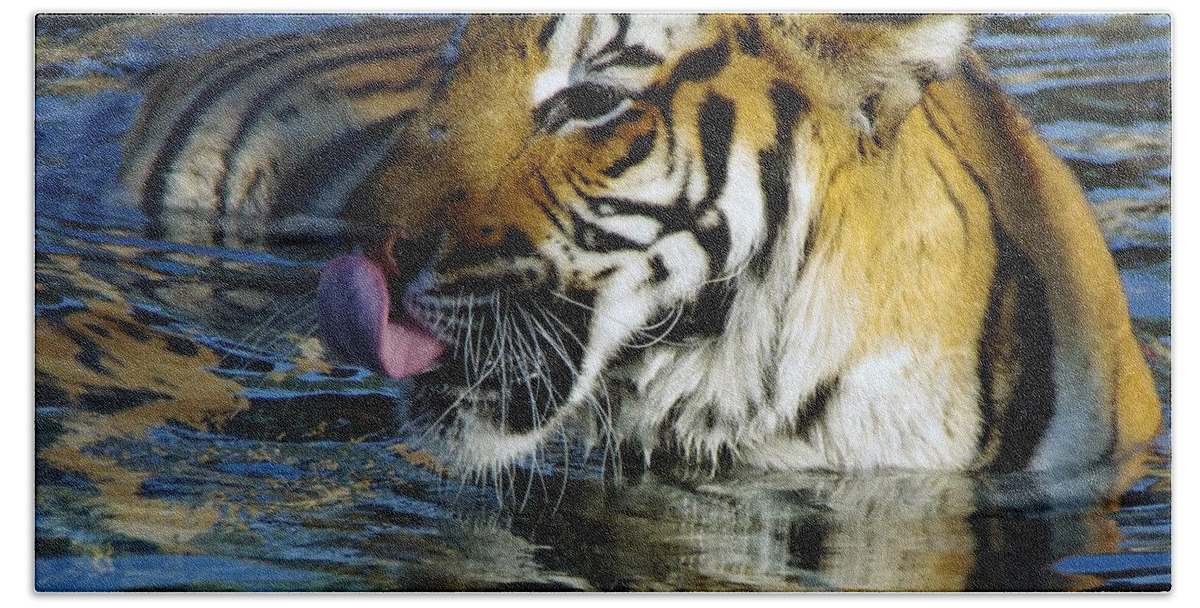 Lions Bath Towel featuring the photograph Tiger by Phyllis Spoor