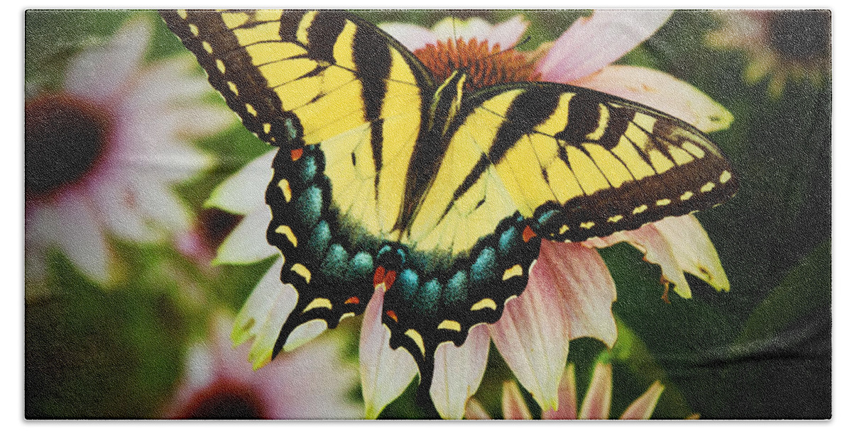 Tiger Swallowtail Butterfly Hand Towel featuring the photograph Tiger Swallowtail Butterfly by Michael Porchik