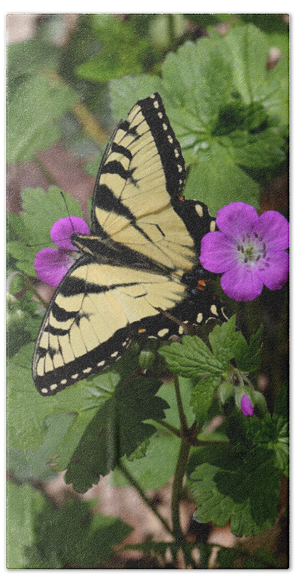 Tiger Swallowtail Butterfly On Geranium Bath Towel featuring the photograph Tiger Swallowtail Butterfly On Geranium by Daniel Reed