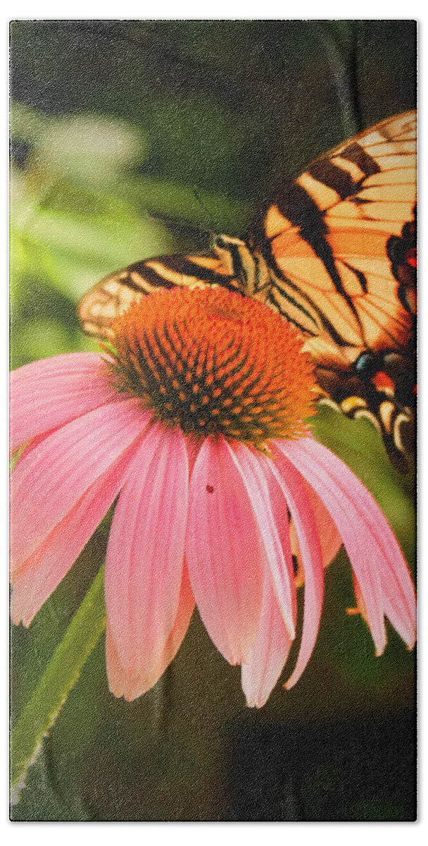 Tiger Swallowtail Butterfly Bath Towel featuring the photograph Tiger Swallowtail feeding by Michael Porchik