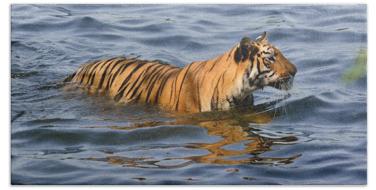 Wildlife Bath Towel featuring the photograph Tigress of the Lake by Fotosas Photography