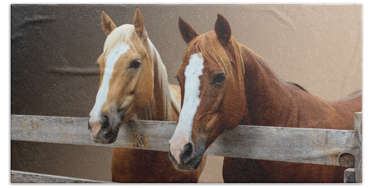 Afternoon Bath Towel featuring the photograph Together 2 by Doug Long