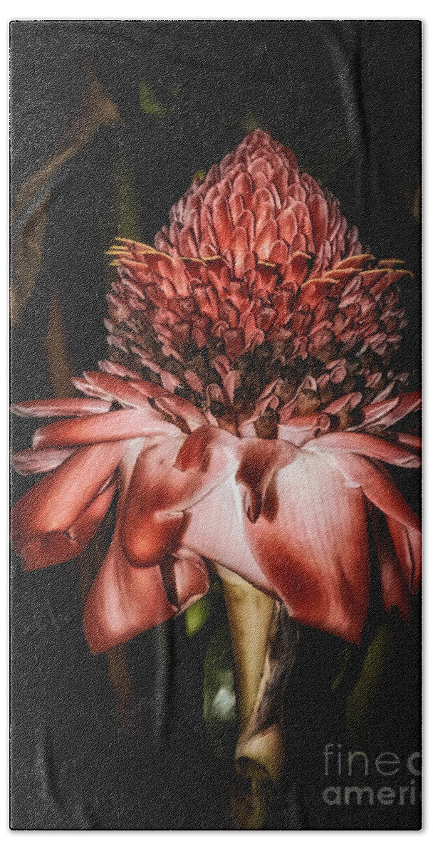 Al Andersen Hand Towel featuring the photograph Torch Ginger 1 by Al Andersen