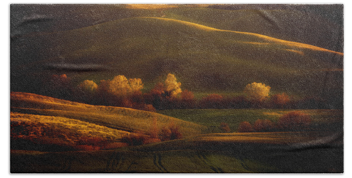 Toskany Bath Towel featuring the photograph Golden fields of val d'Orcia by Jaroslaw Blaminsky