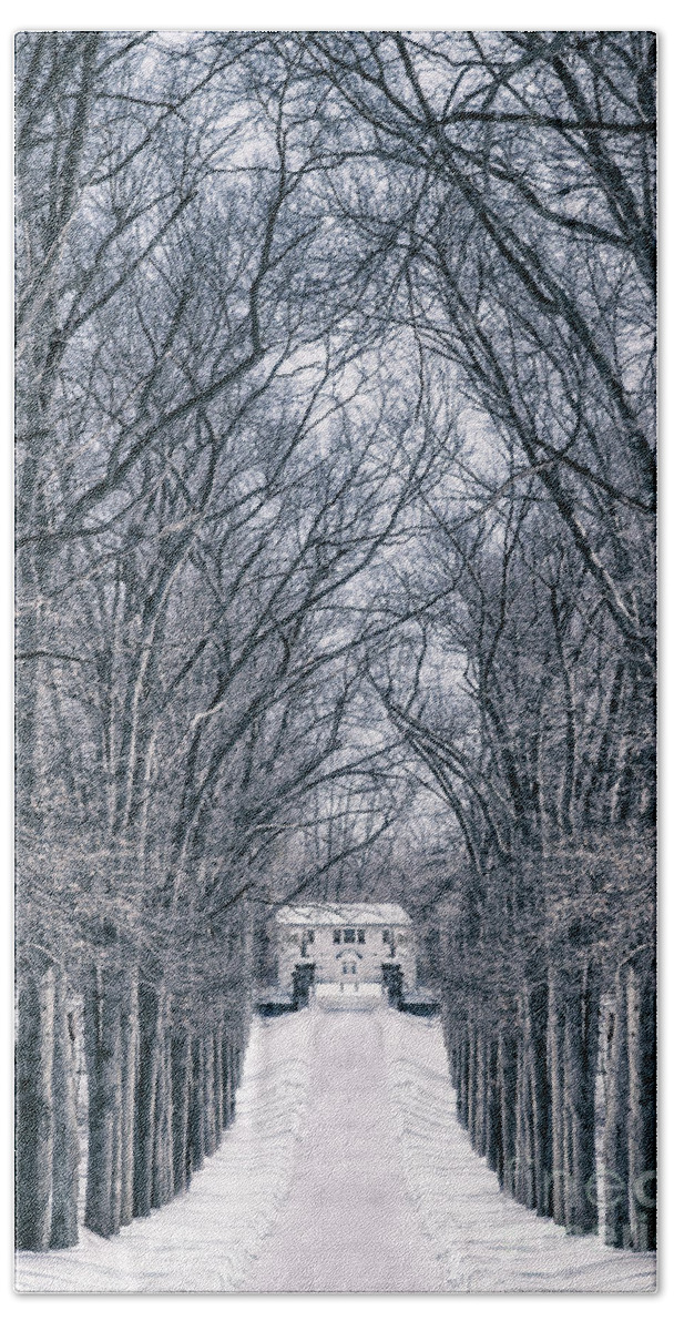 Kremsdorf Hand Towel featuring the photograph Towards The Lonely Path Of Winter by Evelina Kremsdorf