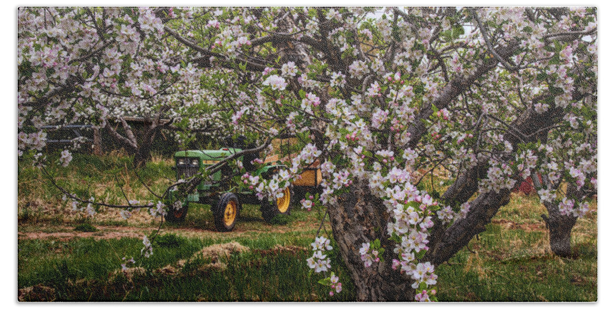 Orchard Hand Towel featuring the photograph Tractor in the Orchard by Diana Powell
